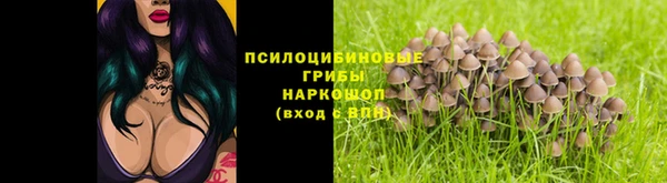 МДПВ Вязьма