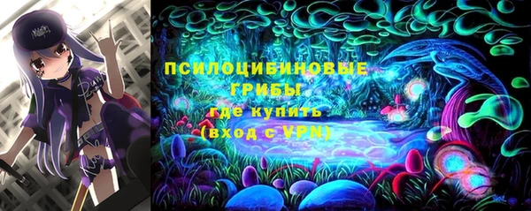 шишки Вяземский