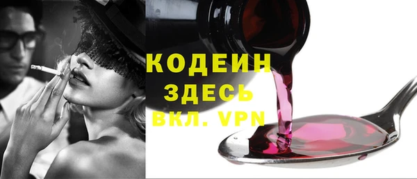 шишки Вяземский