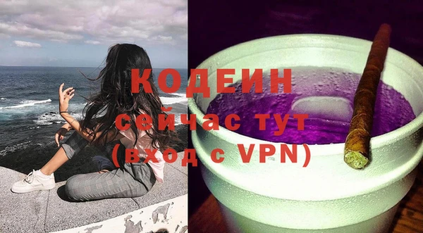 шишки Вяземский