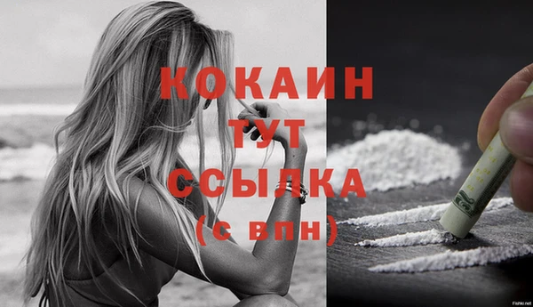 шишки Вяземский