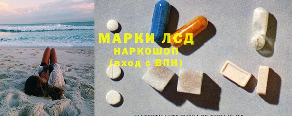 шишки Вяземский