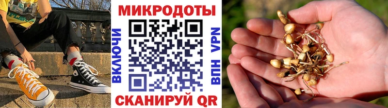 Псилоцибиновые грибы MAGIC MUSHROOMS  Салават 